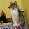 Отзыв от Тамара Юдина